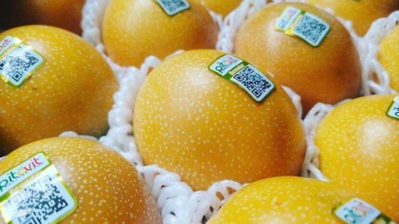 Granadilla ecuatoriana: el auge exportador enfrenta su prueba sanitaria en Europa