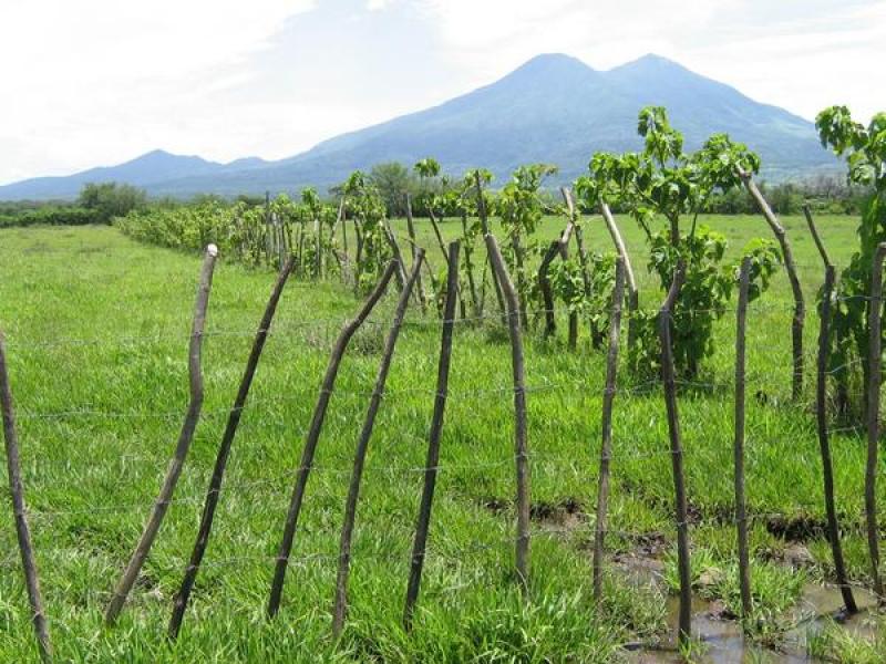 GREMIOS EMPRESARIALES CUESTIONAN PROYECTO DE LEY DE PROPIEDAD DE TIERRAS 