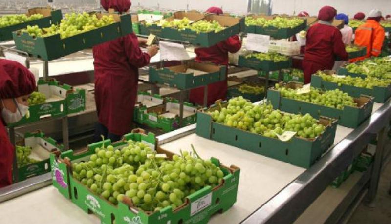Guerra comercial entre Estados Unidos y China generaría oportunidades para la uva de mesa peruana en la presente campaña