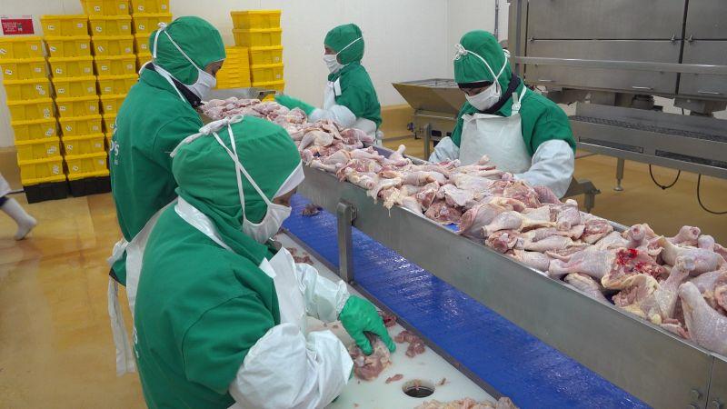 Habilitan tres nuevos establecimientos para exportar carne de aves a Bolivia
