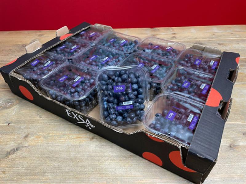 "Hay un desequilibrio en el mercado de los arándanos por la disparada oferta de Perú"