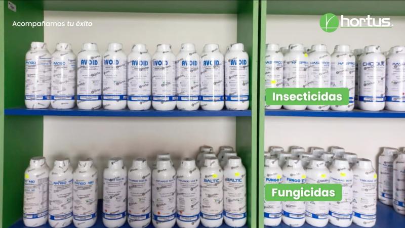 HORTUS: Manejo seguro de plaguicidas, un compromiso con la salud y la productividad