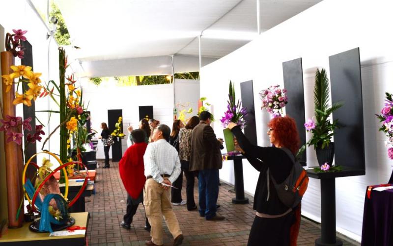 Hoy se inicia el Festival Internacional de Orquídeas en Miraflores