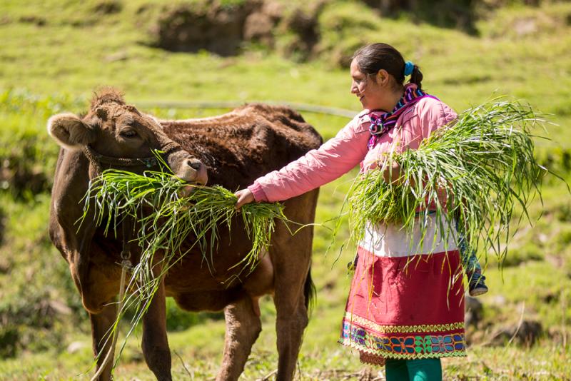 Hoy se inicia el I Foro Regional de Agricultura y Ganadería Familiar Andina