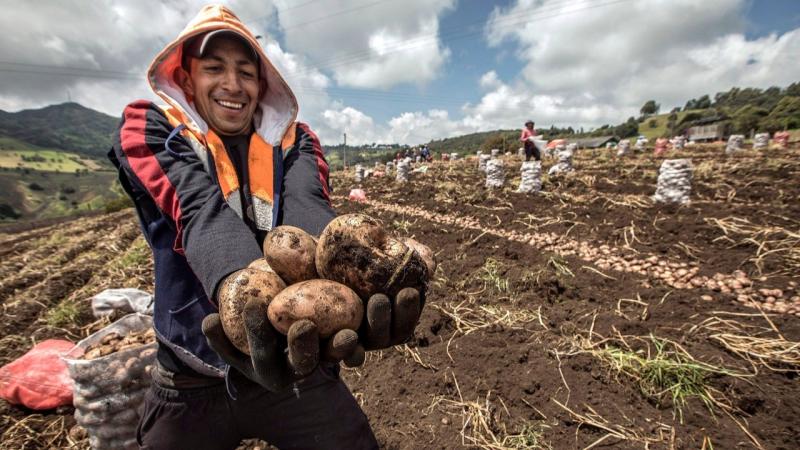 Huancayo se prepara para celebrar la papa y la leche en festival emblemático este 30 de mayo