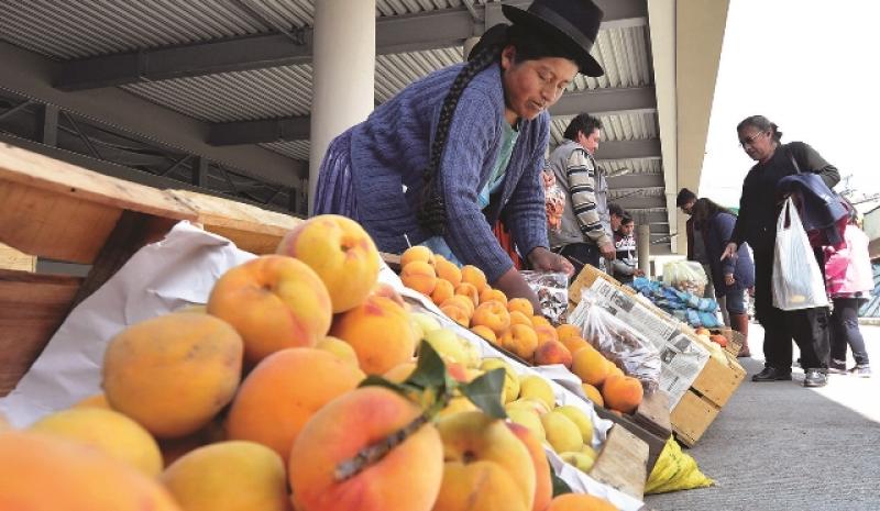 Huánuco: productores de durazno y granadilla serán capacitados sobre uso del guano de las islas y manejo de riego tecnificado