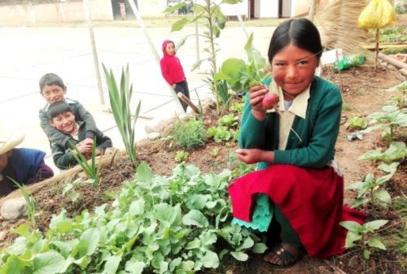 Implementan huertos escolares para sembrar hortalizas orgánicas