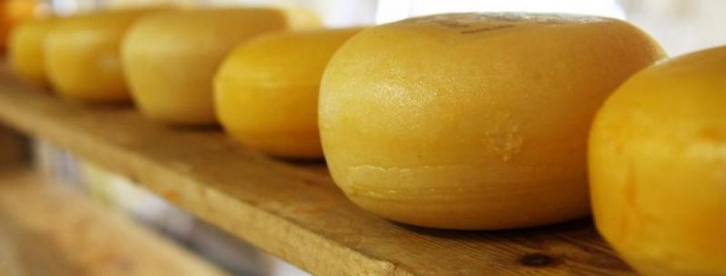 Importación de quesos cerró 2018 en casi US$ 23 millones