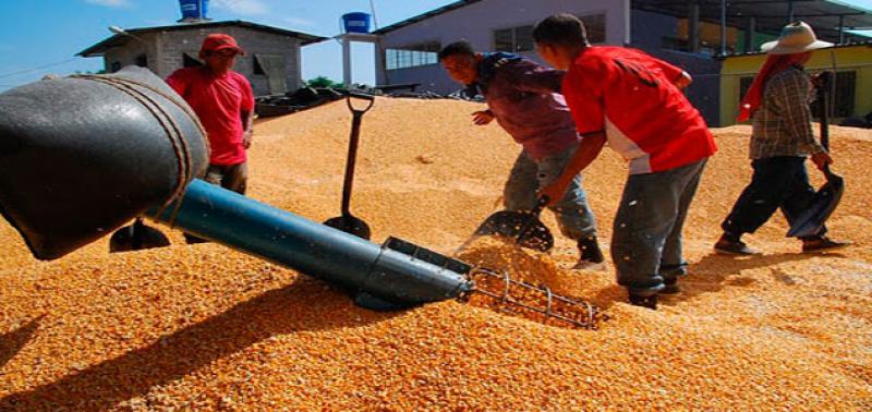 Importaciones agropecuarias por parte de Perú crecieron en valor 20% el 2017