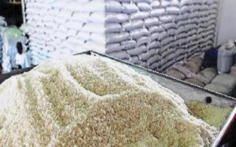 Importaciones de arroz alcanzaron valores de US$ 73.5 millones