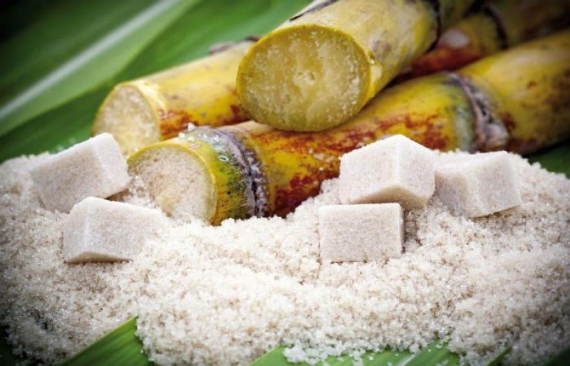 Importaciones de azúcar refinada de caña alcanzaron valores de US$ 28 millones durante el primer cuatrimestre