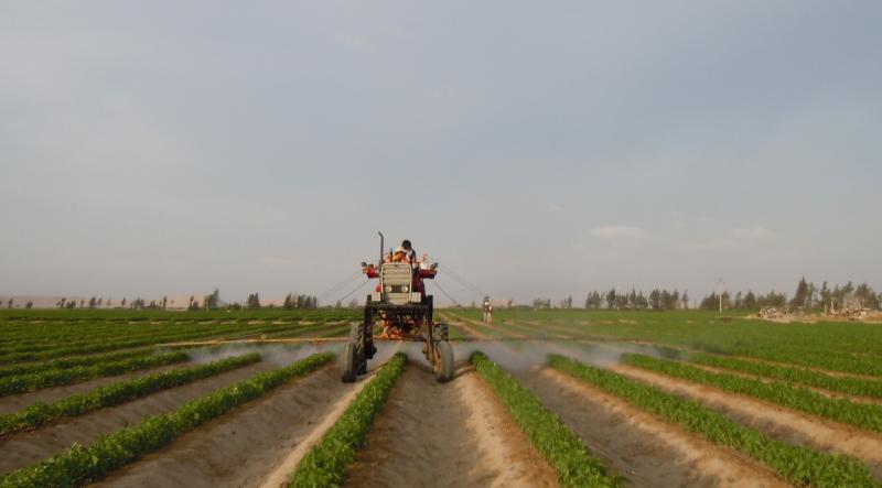 Importaciones de insumos agrícolas en el Perú, cerraron el 2025 con un crecimiento del 13%