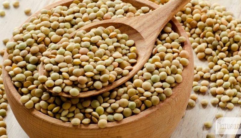 Importaciones de lentejas llegan a US$ 28.8 millones