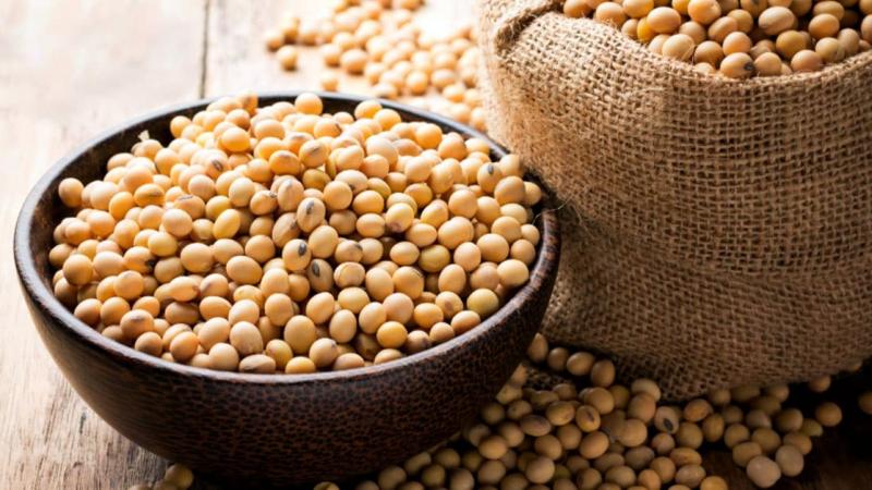 Importaciones peruanas de soya en grano superan los US$ 53 millones hasta julio