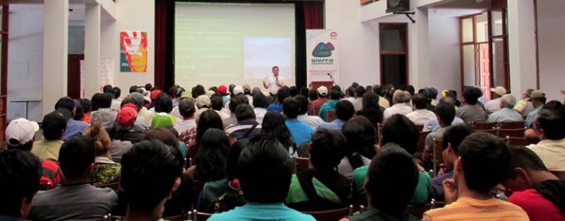 IMPULSAN COMPETITIVIDAD Y OPORTUNIDAD DE VALOR AGREGADO EN LA PALTA