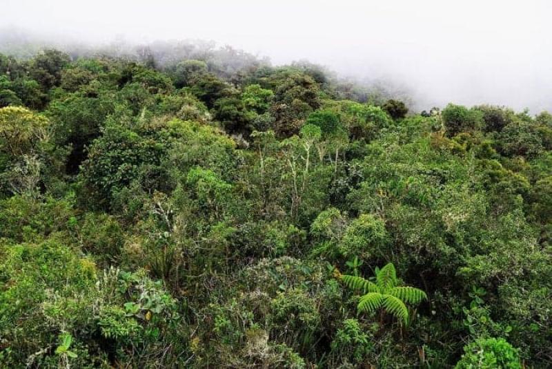 Incorporan 16 ecosistemas identificados en Pasco en Lista Sectorial de Ecosistemas Frágiles 