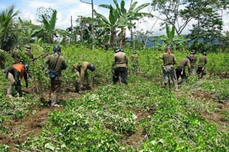 Indemnizaciones por Seguro Agrícola Comercial superan los S/ 20 millones entre 2013 y 2019