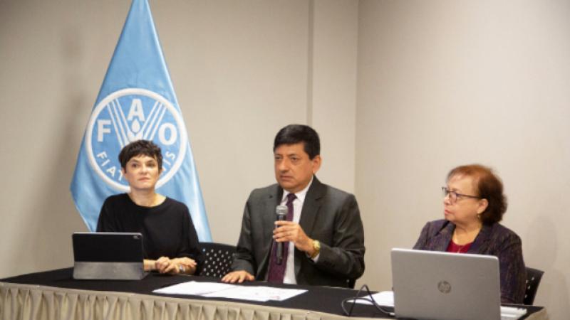 INEI y FAO realizan taller para la medición de pérdidas de alimentos a nivel de país