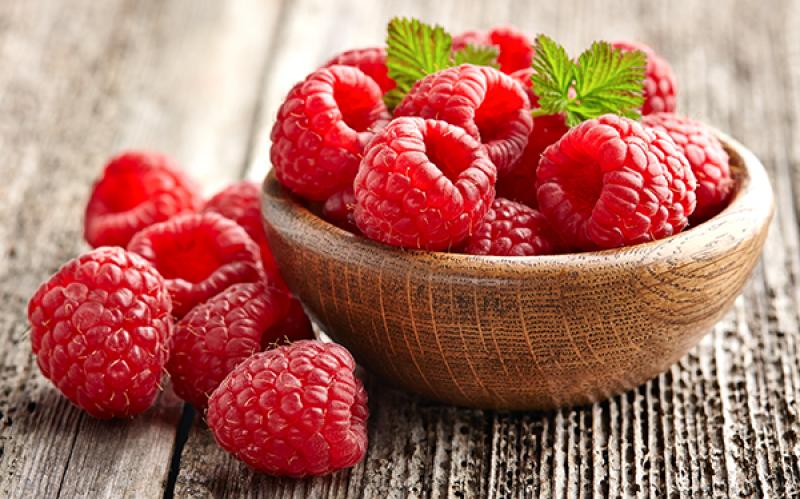 INIA busca producir entre 100 mil y 200 mil plantones de frambuesa en La Libertad