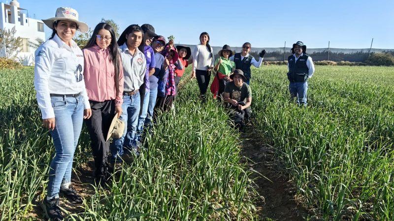 INIA transfiere tecnologías para incrementar calidad genética del ajo en Arequipa