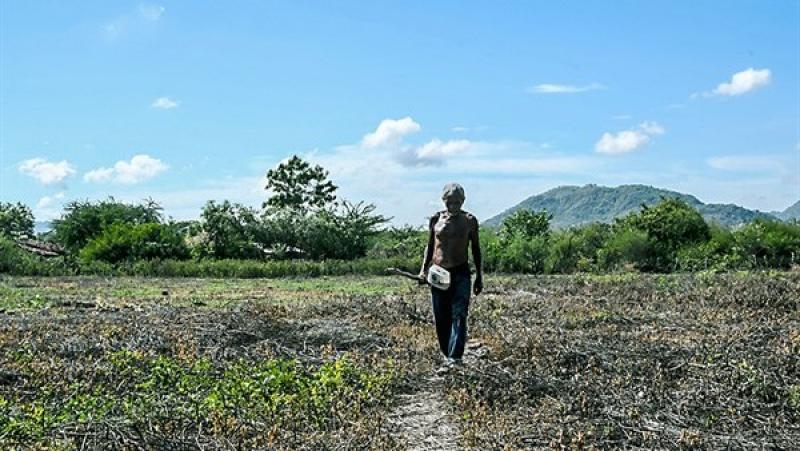 Inseguridad alimentaria amenaza a América Latina