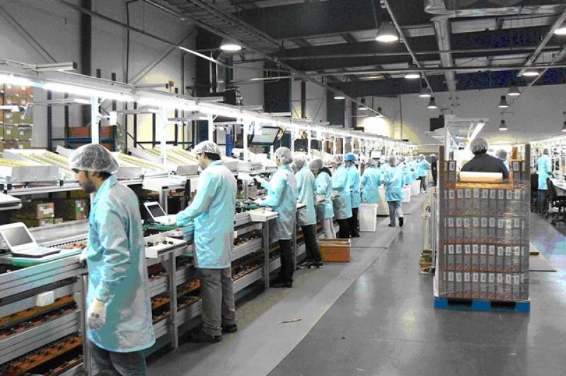 Instituto de Marketing Industrial ofrece certificación internacional en Gerencia de Ventas B2B