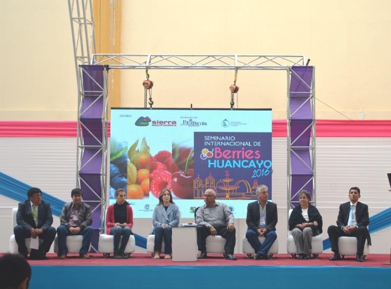 JUNÍN: EXPORTACIÓN DE BERRIES PODRÍA CRECER 300% HACIA EL 2018