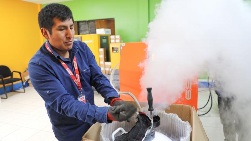 Junín impulsa la mejora genética del ganado vacuno con nueva planta procesadora de nitrógeno líquido