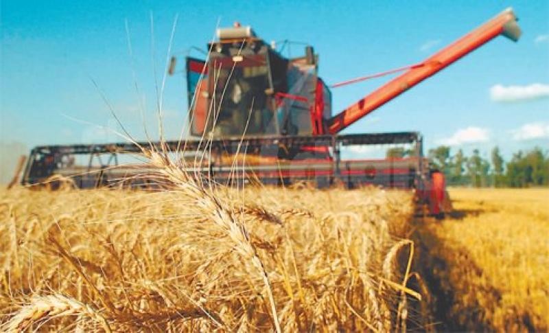 La Libertad: cosecha de trigo mecanizada mejora en un 60% el rendimiento productivo en Santiago de Chuco