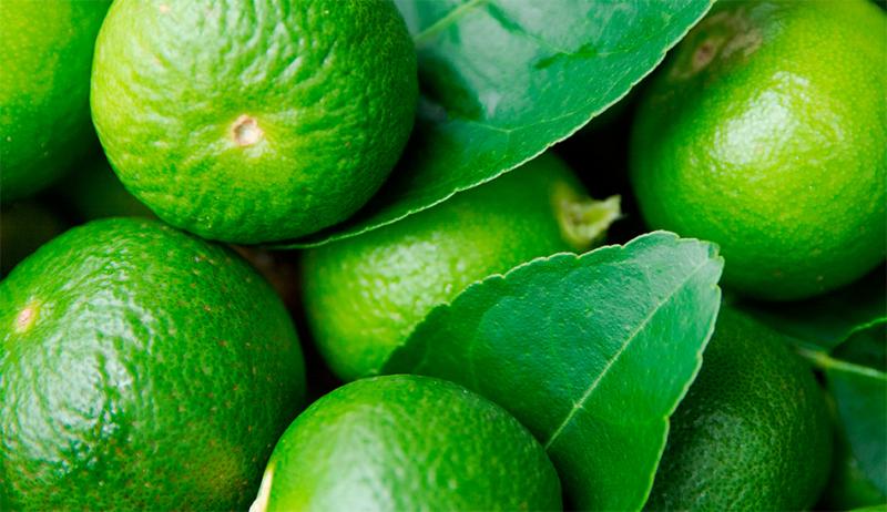 La lima Tahití de Brasil batió récord de exportaciones en 2024