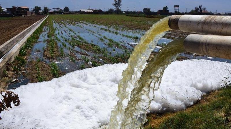 La mala calidad del agua usada para los sembríos frenaría la agroexportación