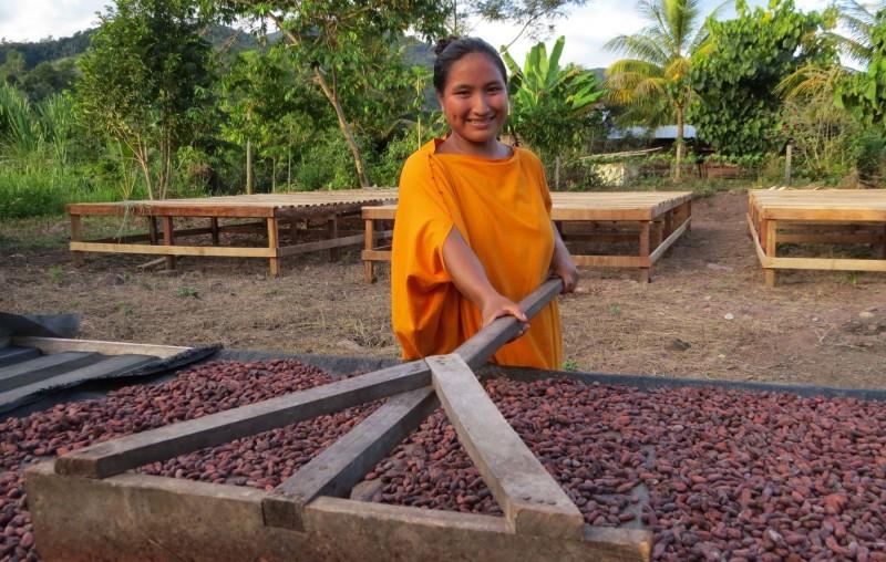 Lanzan chocolate “Eshpe” y “Koyanesha”,  elaborados con cacao de la Reserva Comunal Yanesha en Oxapampa