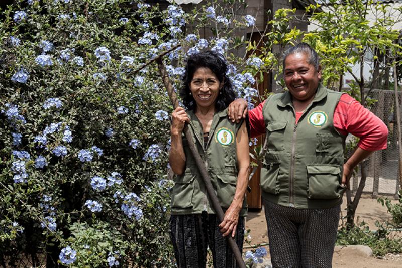 Lanzan novedoso sello de certificación comunitaria para agricultores urbanos de Lima