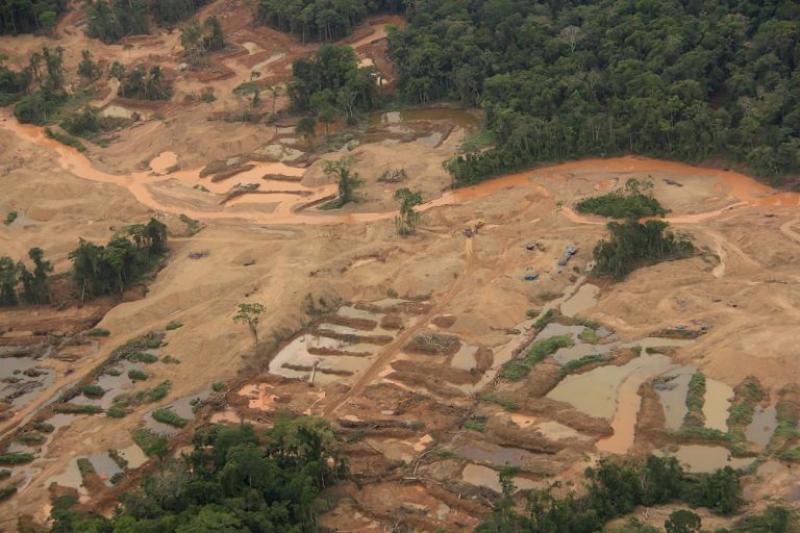 Las cinco regiones del Perú con mayor deforestación en 2018