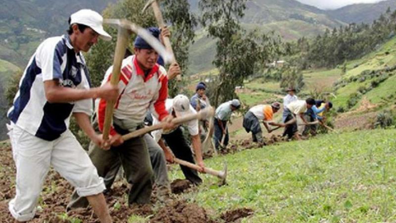 Limitados recursos de “Mi Agro S.A.” solo alcanzarían para cultivar 20 mil hectáreas de 10 mil productores
