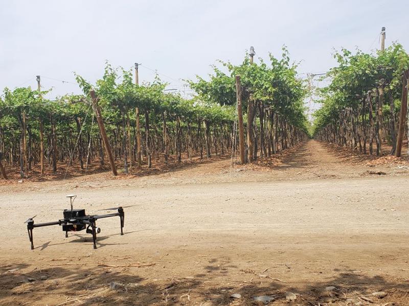 “Lo más importante en la aplicación de agricultura de precisión es la interpretación de los datos”