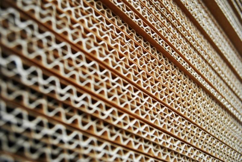 “Los embalajes de cartón ondulado tienen influencia positiva directa en el comportamiento del consumidor de frutas y hortalizas”