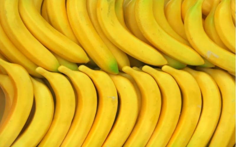 Mal comienzo para las exportaciones de banano peruano fresco en el 2025