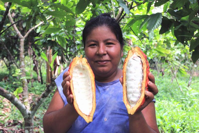 Mañana se realiza el Encuentro Nacional de Mujeres Productoras de Cacao 2018 en Lima
