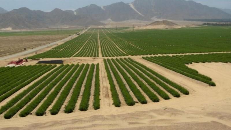 Manifiesto por el Agro Peruano