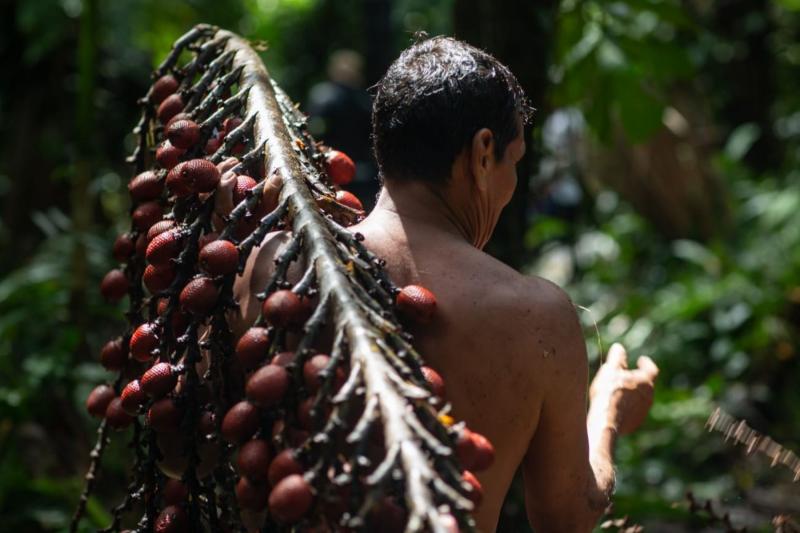 Más de 13.000 personas de 120 comunidades indígenas desarrollan bionegocios en Loreto