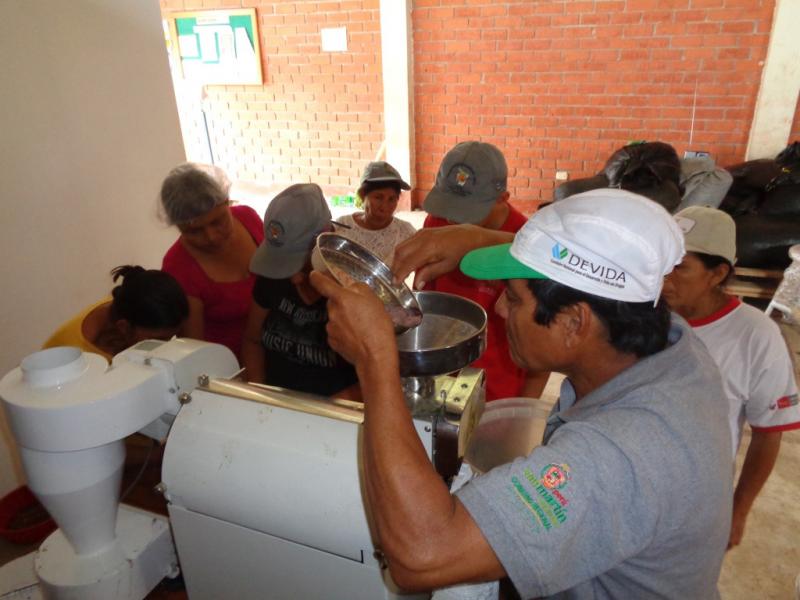 MÁS DE 3 MIL AGRICULTORES CACAOTEROS BENEFICIADOS CON MÓDULOS POSTCOSECHA