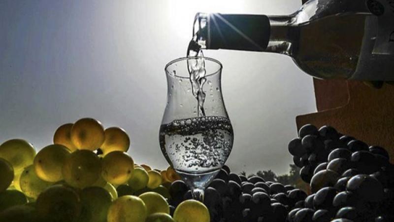 Más de 380 muestras de pisco de cerca de 100 empresas serán evaluadas