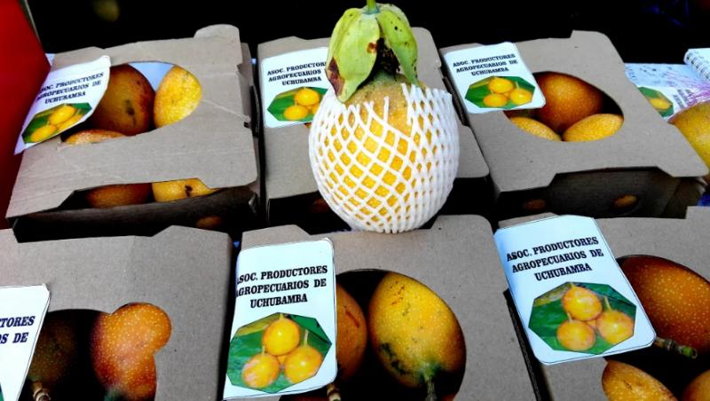 Más de 800 turistas descubrieron la ‘Ruta de la Granadilla’ en Jauja