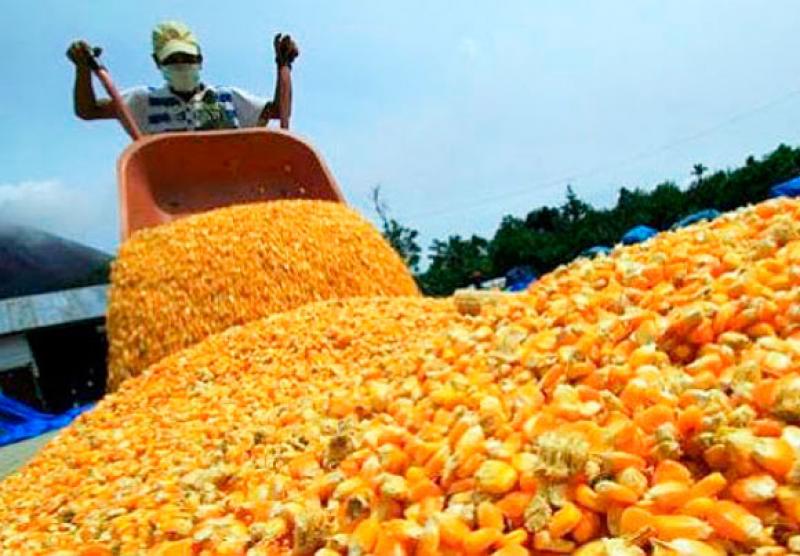 MEF actualizó Sistema de Franja de Precios a la importación de maíz, azúcar, arroz y lácteos