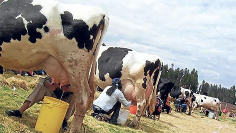 MEF anuncia programa multisectorial “Con Punche Perú” para afectados por las manifestaciones