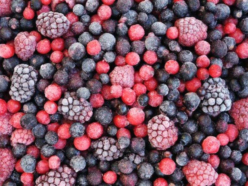 Mercado de las frutas IQF tendrá un valor de US$ 14.800 millones para el 2026