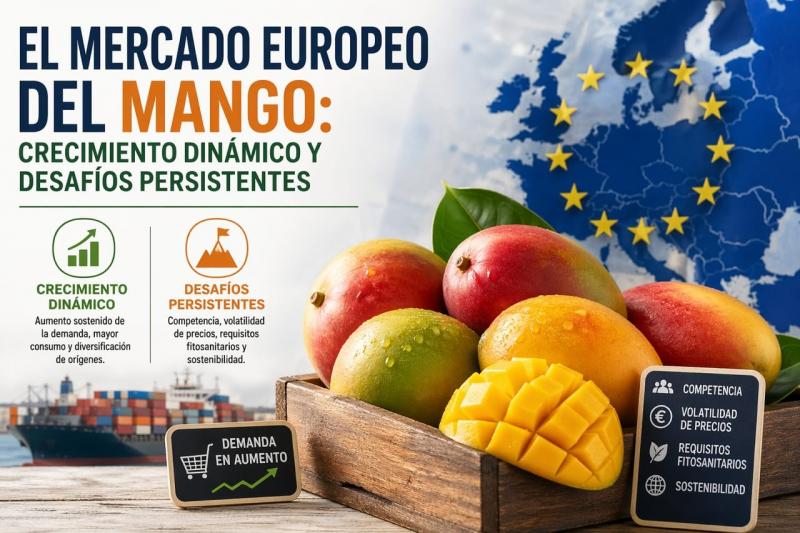 Mercado europeo del mango: crecimiento dinámico y desafíos persistentes