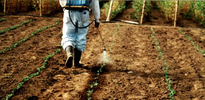 Mercado peruano de fertilizantes comercializará un millón de toneladas este año