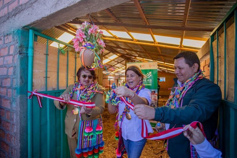 Midagri entrega 319 miniestablos a once organizaciones agrarias dedicadas a la cadena de lácteos en Puno